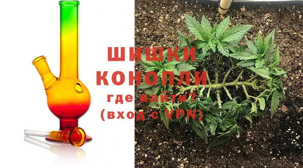 индика Краснотурьинск