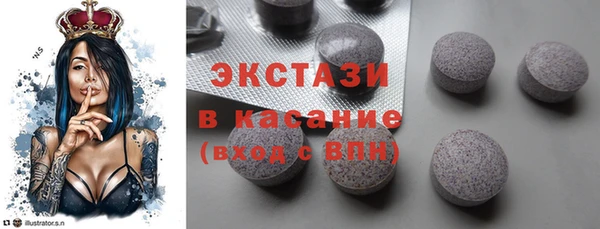 индика Краснотурьинск