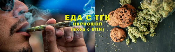 индика Краснотурьинск