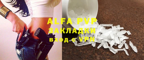 индика Краснотурьинск