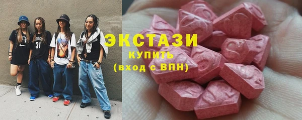индика Краснотурьинск