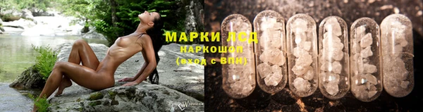индика Краснотурьинск