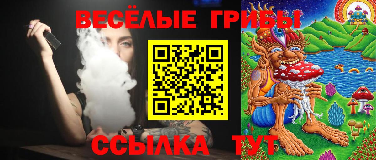 Псилоцибиновые грибы ЛСД  Курчатов  Галлюциногенные грибы прущие грибы 