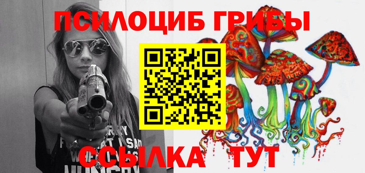 Псилоцибиновые грибы мицелий Курчатов