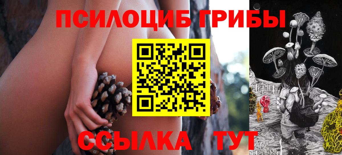 Курчатов  Галлюциногенные грибы мицелий  купить   Вход с VPN 