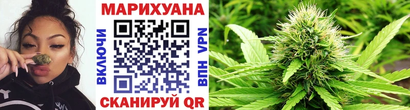 kraken зеркало  Курчатов  Конопля сатива 