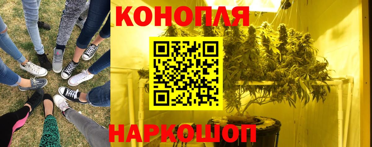 Бошки марихуана White Widow  Вход с VPN  Курчатов  Конопля OG Kush 